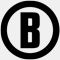 Bushnell logo