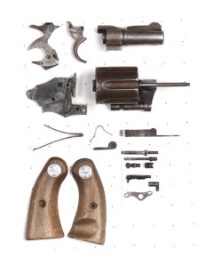 Colt Police Positive