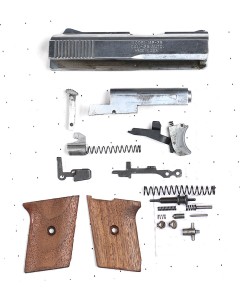Raven MP25