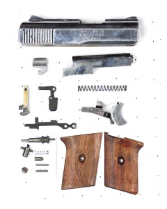 Raven MP25 Semi-auto