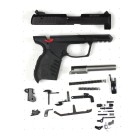 Ruger SR22