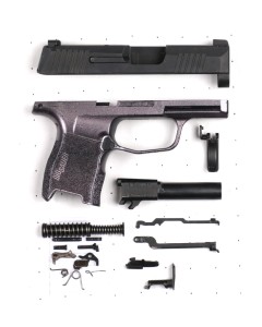 Sig Sauer P365