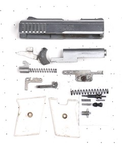 Raven Arms P25