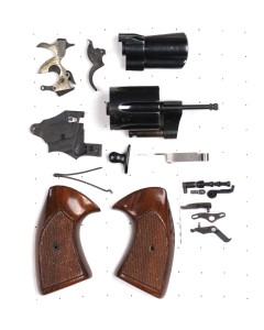 Colt Detective special