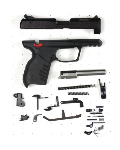 Ruger SR22
