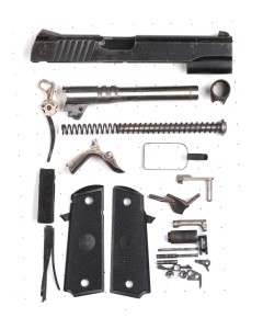 Para Ordnance Big Hawg 