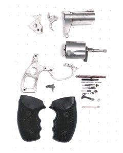 Charter Arms Bulldog Revolver