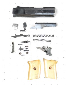 Raven MP 25 Semi-auto