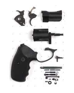 Charter Arms Undercover