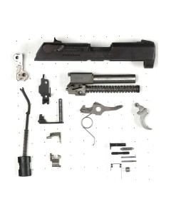Ruger P95DC