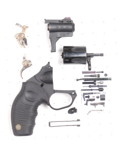 Taurus Protector 