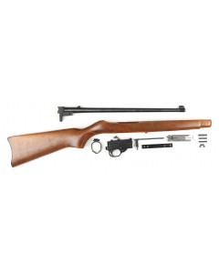 Ruger 10/22 