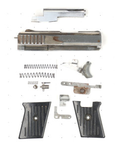 Raven Arms P25