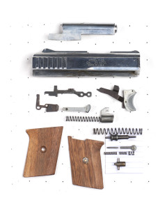 Raven Arms P25