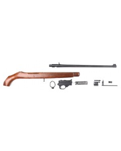 Ruger 10/22