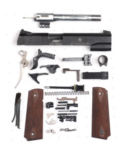 GSG 1911 CA 22