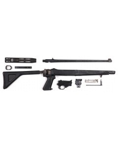 Ruger 10/22