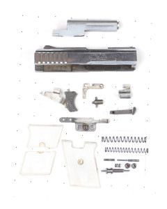 Raven Arms p25