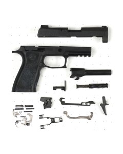Sig Sauer P320 X Carry