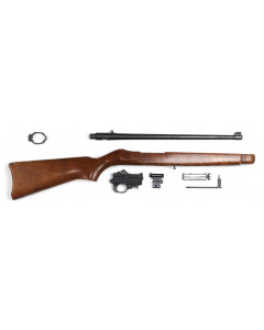 Ruger 10/22