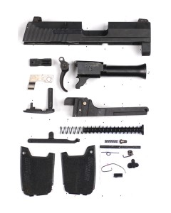 Sig Sauer P290RS