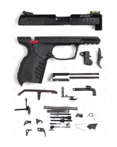 Ruger SR22