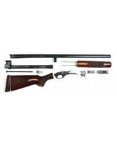 Smith & Wesson 1000P