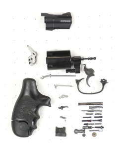 Smith & Wesson BodyGuard