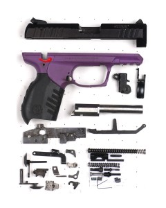 Ruger SR22