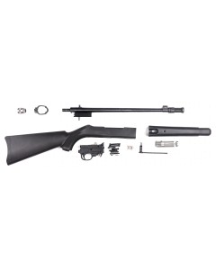 Ruger 10/22 Takedown