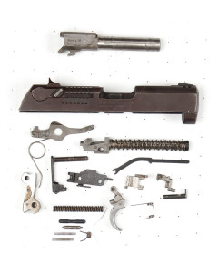 Ruger P95dc