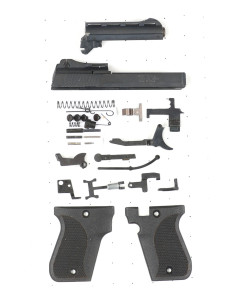 Phoenix Arms HP22A
