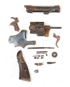 Taurus 82