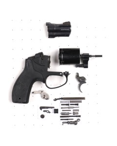 Smith & Wesson Bodyguard