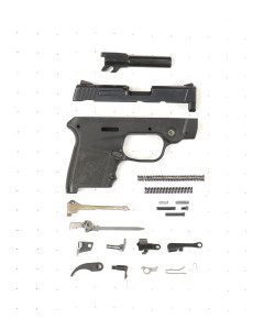 Smith & Wesson Bodyguard 380