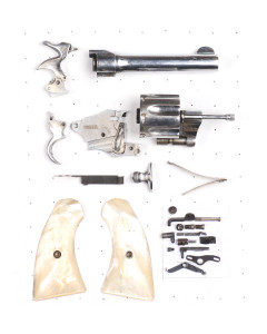 Colt Police Positive