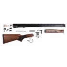 Pointer Acrius