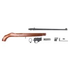 Ruger 10/22