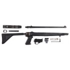 Ruger 10/22