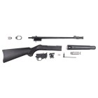 Ruger 10/22 Takedown