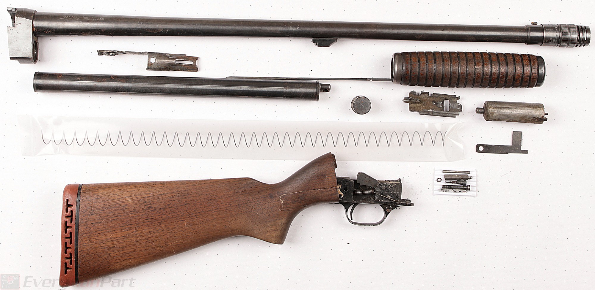 Savage Stevens 820B Pump